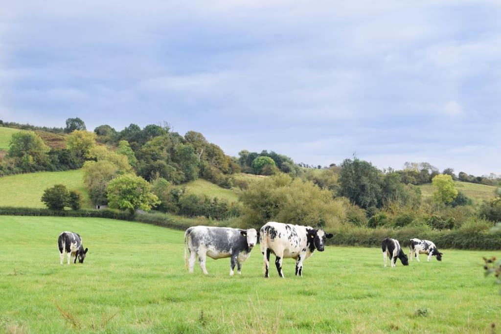 Nr Bicester Village 5 Star Luxury On Farm Piddington Екстер'єр фото